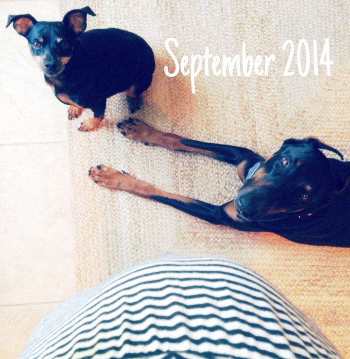 Big news on Kate's Clean Plate!